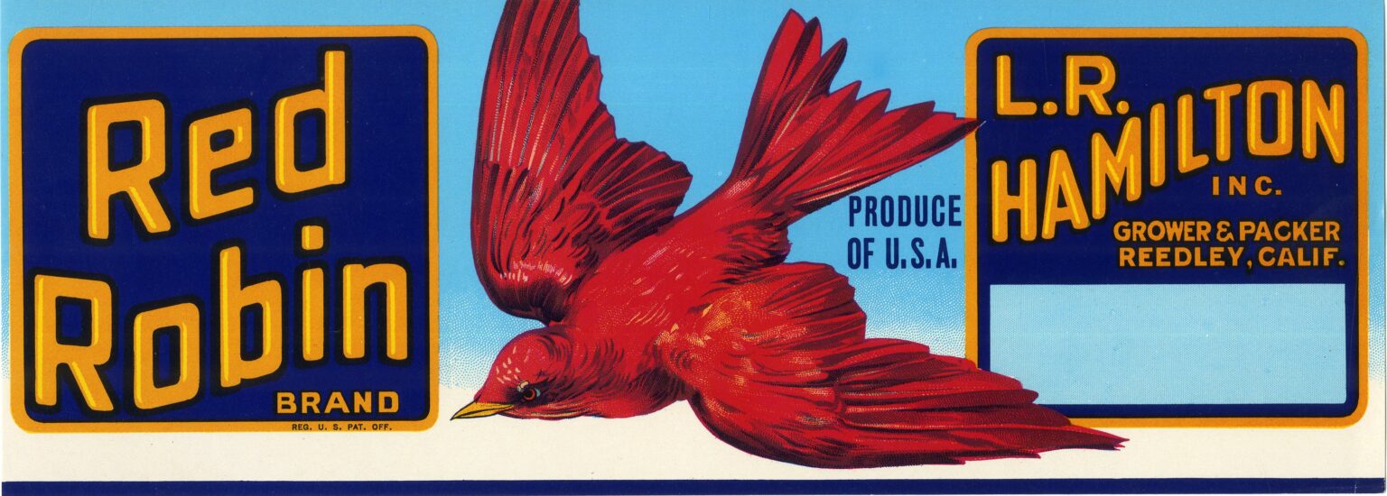 Red Robin